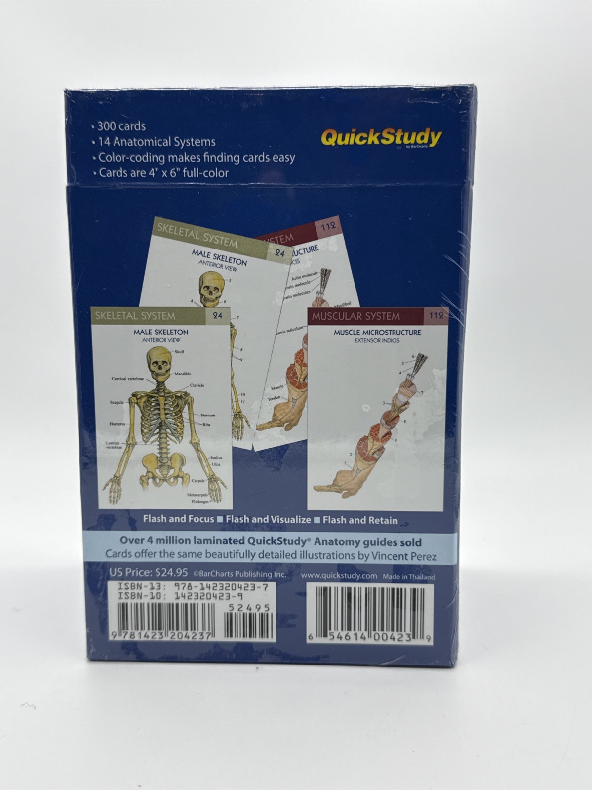 Anatomy Flash Cards 300 Cards 14 Systems Quick Study NEW SEALED