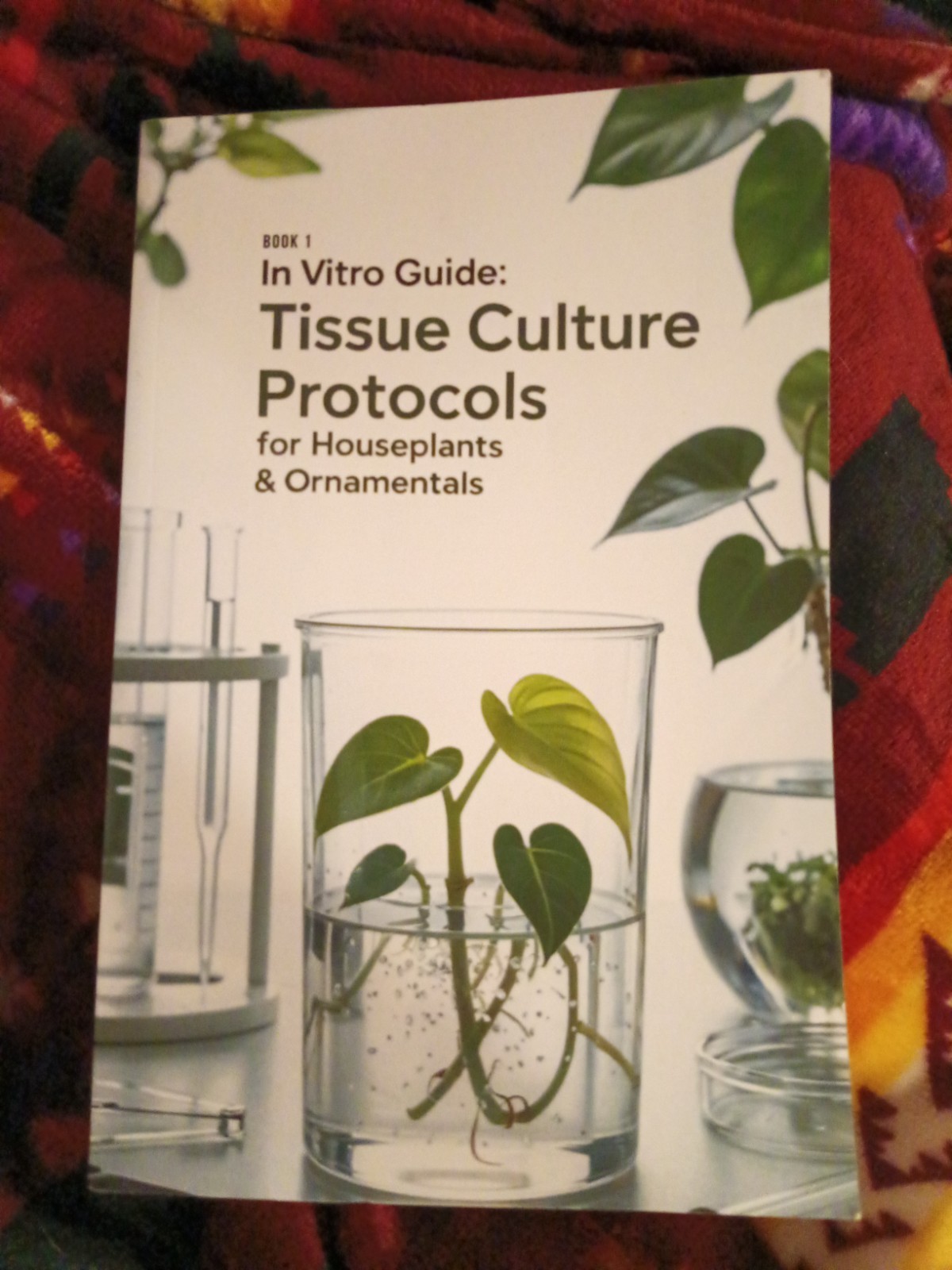 In Vitro Guide: Tissue Culture Protocols for Houseplants & Ornamentals: 50 Tissu