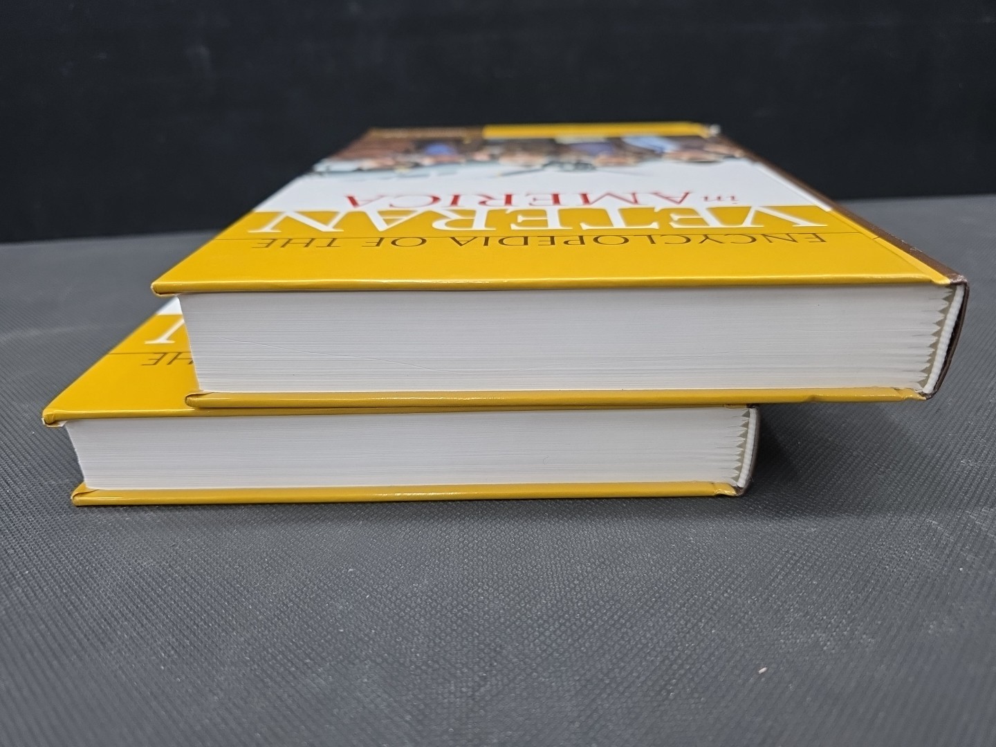 Encyclopedia of the Veteran in America [2 volumes]: 2 volumes